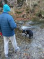 /album/galleria-fotografica/siska-nel-fiume-jpg/